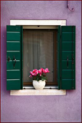 Colours of Burano 9.JPG