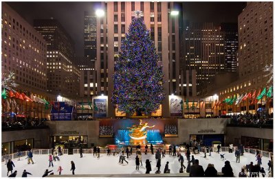 Rockefeller Center Christmas Tree 2007