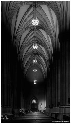 Saint  Patrick's Cathedral 2