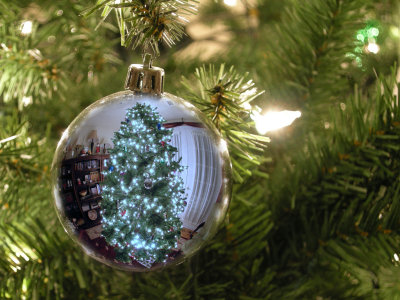 DSCN3682-Christmas-Tree+Ornament3.jpg