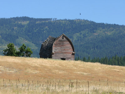 Idaho State Line Barn