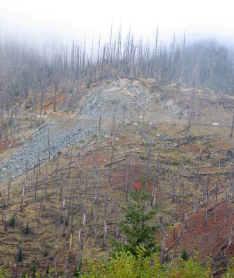 NF-99 on back side of Mt St Helen's