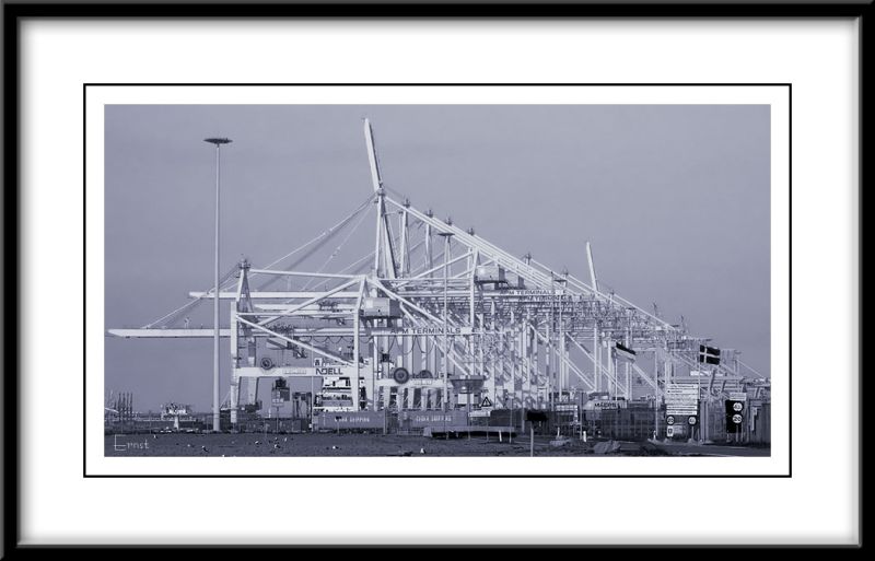 Maasvlakte