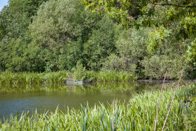 Benzenrade pond