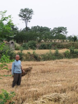 Wheat farmer, Xian