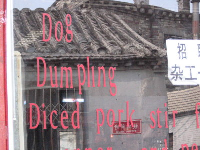 Dog Dumpling ?