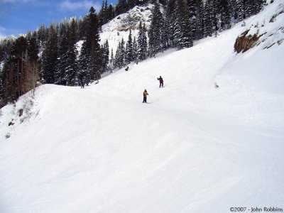 Snowbird: Chips Run