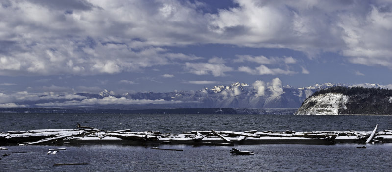 Useless Bay winter birdlife