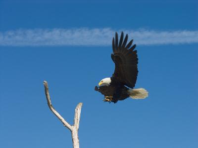 2006051423.jpg
