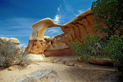 Sandstone Arch and Wave