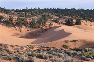 Coral Pink Sand Dunes State Park