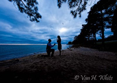 IMG_5371-Edit 600.jpg