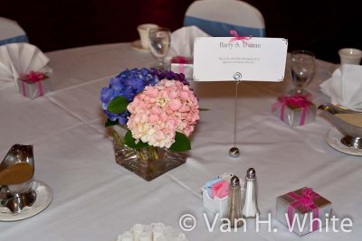 011 IMG_6160 logo.jpg