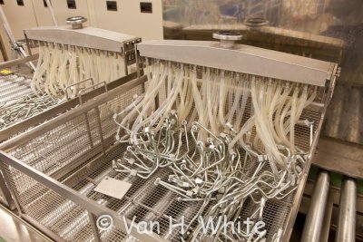 IMG_2050 (c) Van H. White.jpg