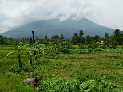 MAYON VOLCANO 