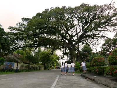 Balay Negrense Museum