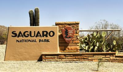 Saguaro National Park Tucson Arizona