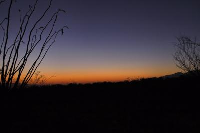 Sunset with Ocotillo at Saguaro National Park