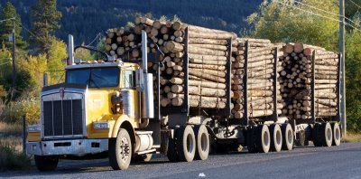 Logging Truck