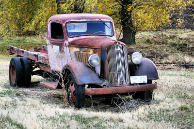 Old Dodge abandoned on a farm