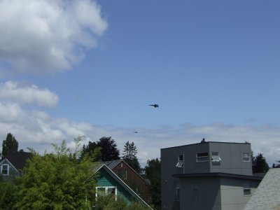 Blue Angels Buzzing Madrona