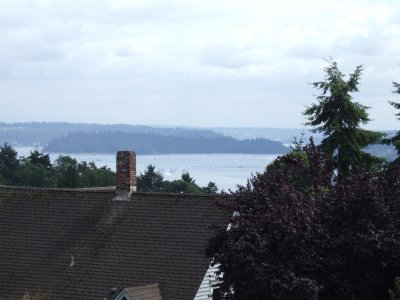 Hydro Races on Lake Washington