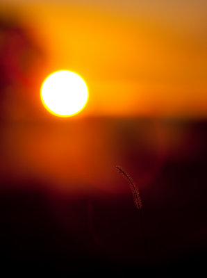 Australian Landscapes