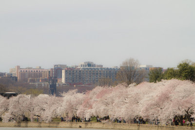 IMG_2340p.jpg