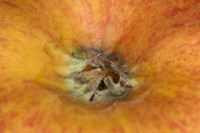 IMG_0216.JPG