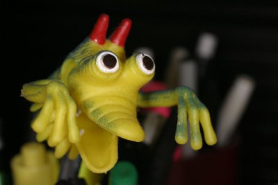 Tests with Sigma Ring Flash and 100mm Macro