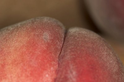 IMG_0239.JPG