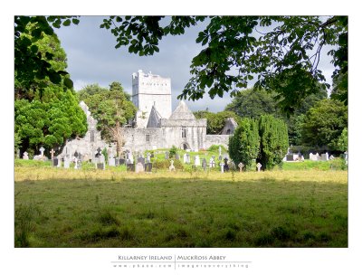 Killarney - Muckross Abbey