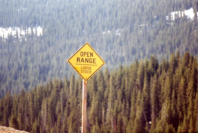 Open Range Loose Stock