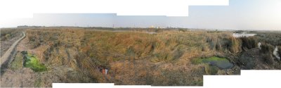 Rahil at Okhla Bird Sanctuary (26 Jan 2012)