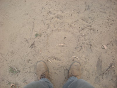 Elephant footprint, Corbett National Park (April 2012)