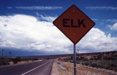 Elk (Cochita, NM)
