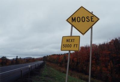 Moose (Sheffield, VT)