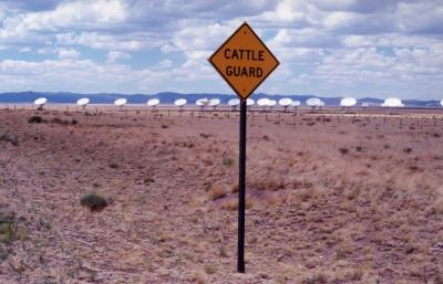 Cattle Guard (Near Very Large Array, NM)