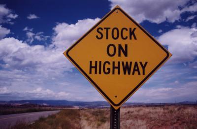 Stock on Highway (Youngsville NM)