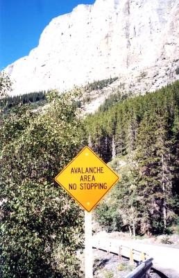 Avalanche Area No Stopping