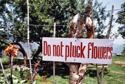 Do Not Pluck Flowers (outside of Mussourie)
