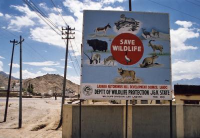 Save Wildlife (Leh)
