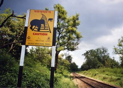 Caution -- Elephant Crossing (Rishikesh)