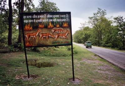 Watch For Deer During Fires (near Rishikesh)