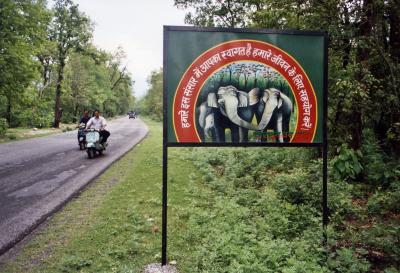 Watch for Elephants (near Rishikesh)