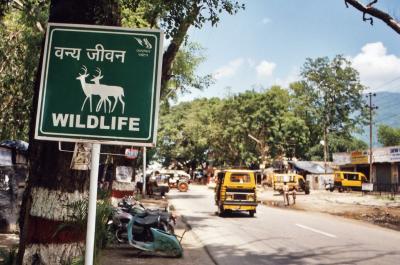 Wildlife Area (Rishikesh)