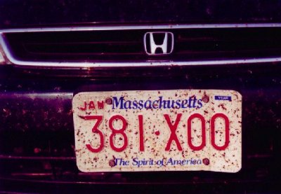 My License Plate at the Conclusion of a Cross-Country Trip (2002)