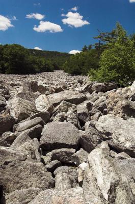Hawk Mt River of Rocks 1s.jpg