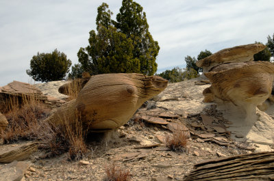 Hoodoos near ABQ