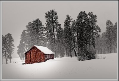 Photos of our times in New Mexico